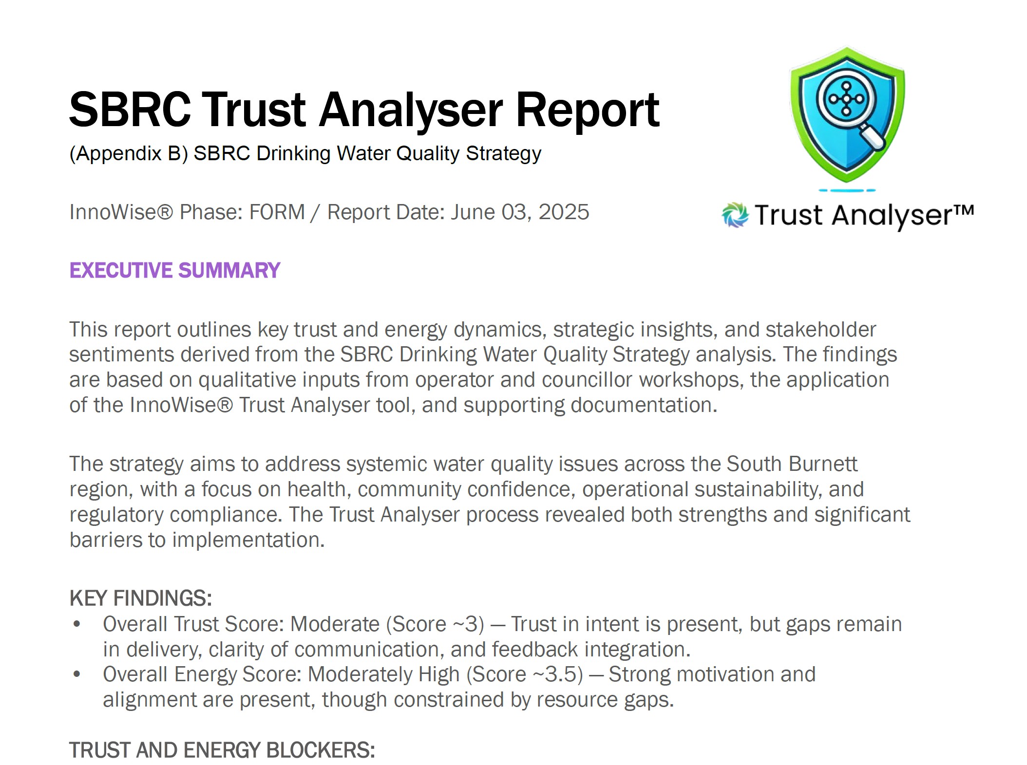 trust analyser report extract